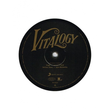 Виниловая пластинка Pearl Jam, Vitalogy Vinyl Edition (0886978431110) - фото 12