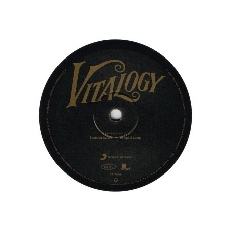 Виниловая пластинка Pearl Jam, Vitalogy Vinyl Edition (0886978431110) - фото 13
