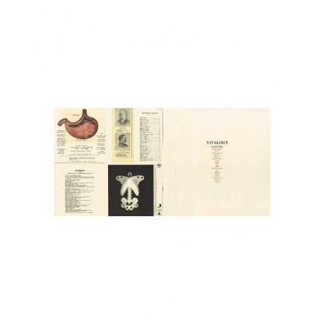 Виниловая пластинка Pearl Jam, Vitalogy Vinyl Edition (0886978431110) - фото 4
