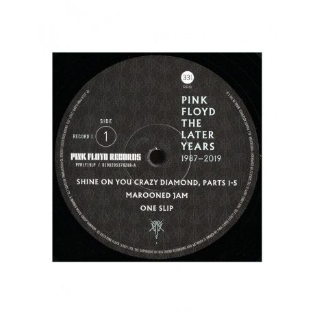 Виниловая пластинка Pink Floyd, The Best Of The Later Years 1987-2019 (0190295378288) - фото 4