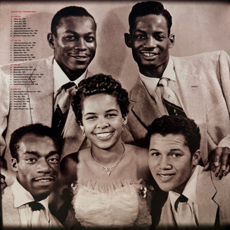 Platters, Ultimate Collection (5060403742681) виниловая пластинка - фото 2