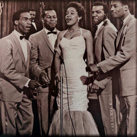 Platters, Ultimate Collection (5060403742681) виниловая пластинка - фото 3