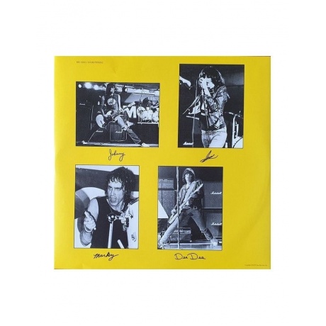 Виниловая пластинка Ramones, Road To Ruin (0603497858262) - фото 5