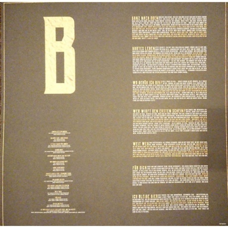 Rogers - Mittelfinger Fur Immer (0190759240311) виниловая пластинка - фото 3