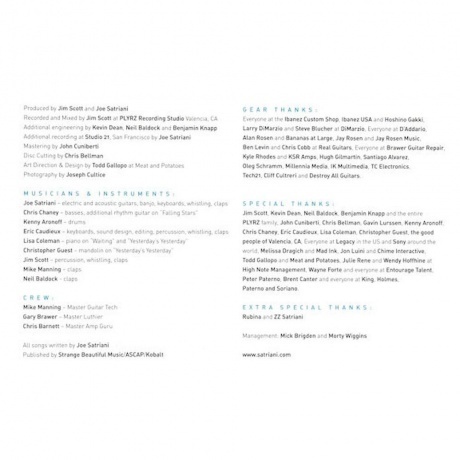 Joe Satriani - Shapeshifting (0194397208818) виниловая пластинка - фото 9