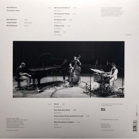 Shai Maestro - The Dream Thief (0602567867487) виниловая пластинка - фото 2