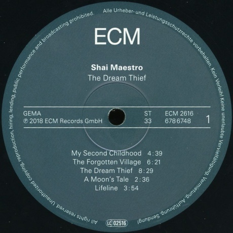 Shai Maestro - The Dream Thief (0602567867487) виниловая пластинка - фото 3
