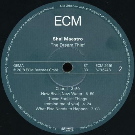 Shai Maestro - The Dream Thief (0602567867487) виниловая пластинка - фото 4