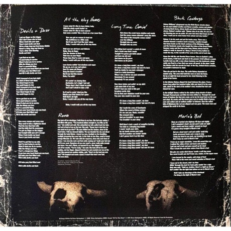 Bruce Springsteen - Devils &amp; Dust (0190759789216) виниловая пластинка - фото 7