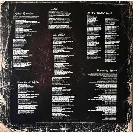 Bruce Springsteen - Devils &amp; Dust (0190759789216) виниловая пластинка - фото 9