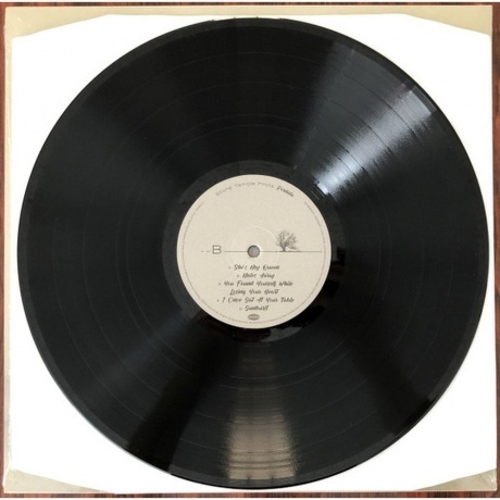 Stone Temple Pilots - Perdida (0603497853502) виниловая пластинка - фото 4