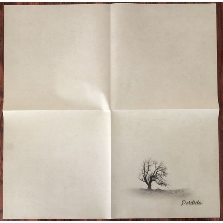 Stone Temple Pilots - Perdida (0603497853502) виниловая пластинка - фото 5