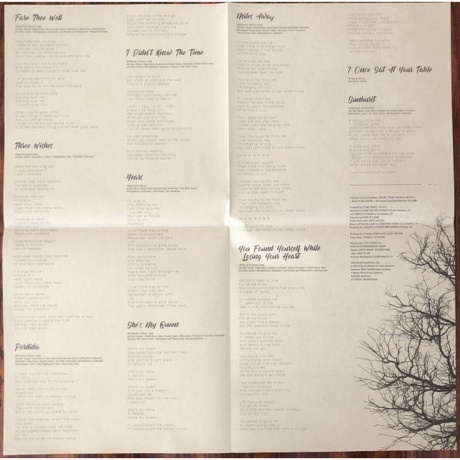 Stone Temple Pilots - Perdida (0603497853502) виниловая пластинка - фото 6