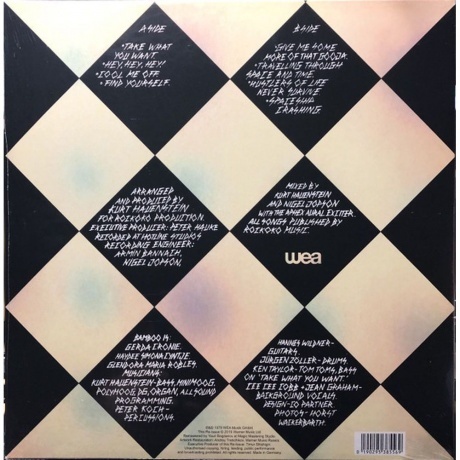 Bamboo - Bamboo (0190295385569) виниловая пластинка - фото 2