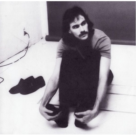 Виниловая пластинка Taylor, James, Greatest Hits (barcode 0603497852543) - фото 5