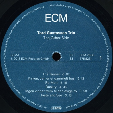 Tord Gustavsen - The Other Side (0602567582519) виниловая пластинка - фото 3