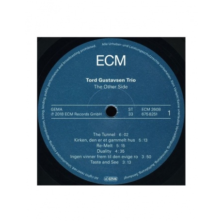 Виниловая пластинка Tord Gustavsen Trio, The Other Side (0602567582519) - фото 3
