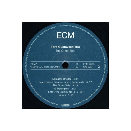 Виниловая пластинка Tord Gustavsen Trio, The Other Side (0602567582519) - фото 4