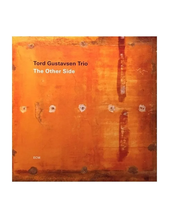 Виниловая пластинка Tord Gustavsen Trio, The Other Side (0602567582519) - фото 1