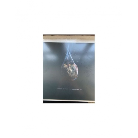 Виниловая пластинка Trivium, What The Dead Men Say (0075678649790) - фото 2