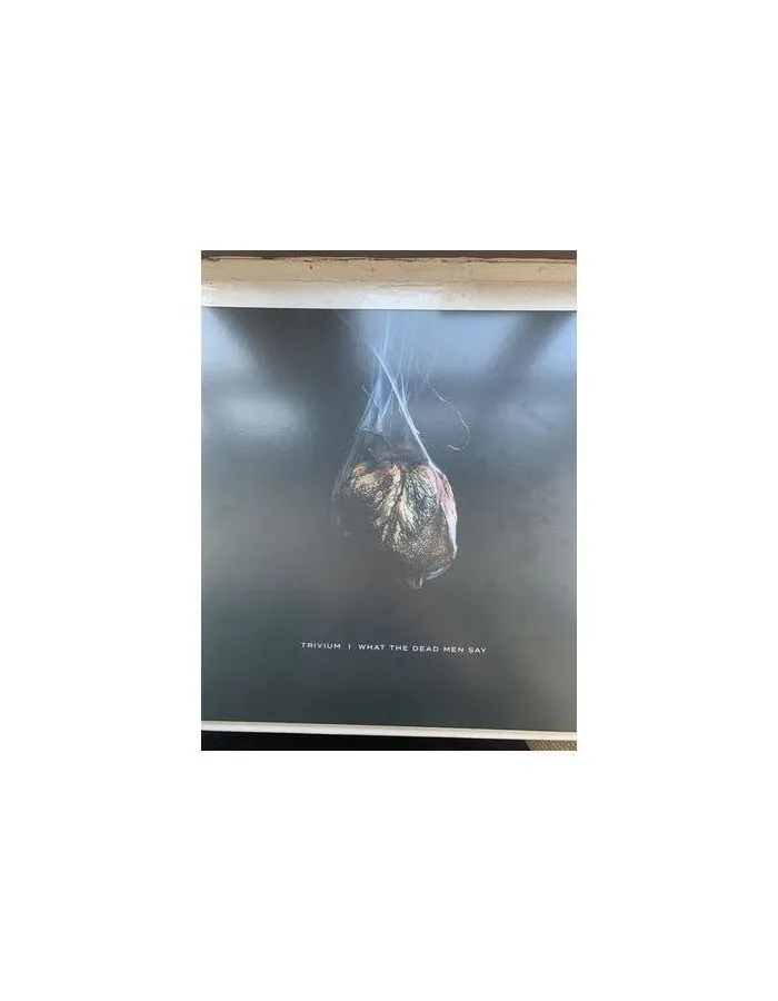 Виниловая пластинка Trivium, What The Dead Men Say (0075678649790) - фото 2