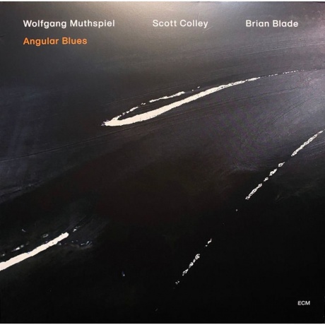 Wolfgang Muthspiel Scott Colley Brian Blade - Angular Blues 0602508485213 виниловая пластинка 3914₽