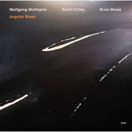 Wolfgang Muthspiel & Scott Colley & Brian Blade - Angular Blues ...