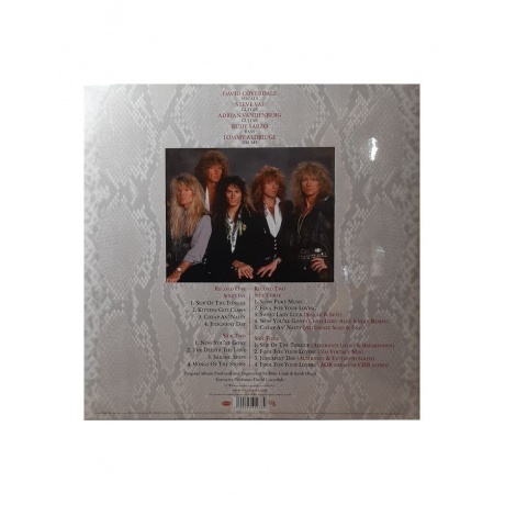 Виниловая пластинка Whitesnake, Slip Of The Tongue (30Th Anniversary) (0190295409784) - фото 2
