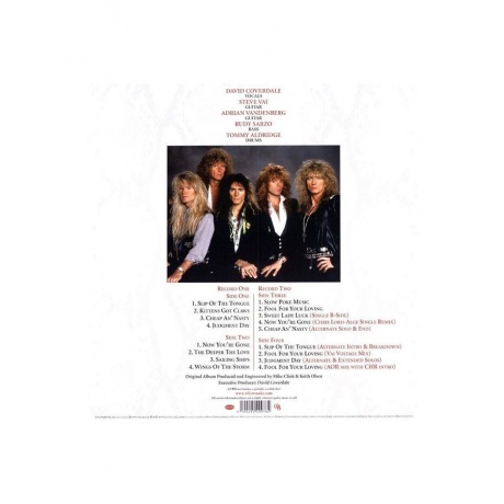 Виниловая пластинка Whitesnake, Slip Of The Tongue (30Th Anniversary) (0190295409784) - фото 6