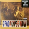 2Pac - 2Pacalypse Now (0602527949857) виниловая пластинка