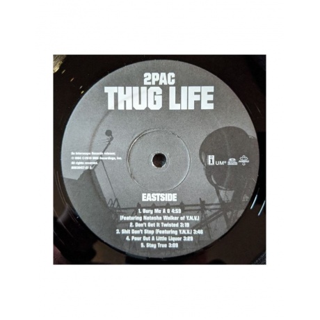Виниловая пластинка 2Pac, Thug Life: Volume 1 (0602577838286) - фото 5