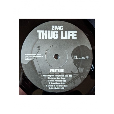Виниловая пластинка 2Pac, Thug Life: Volume 1 (0602577838286) - фото 6