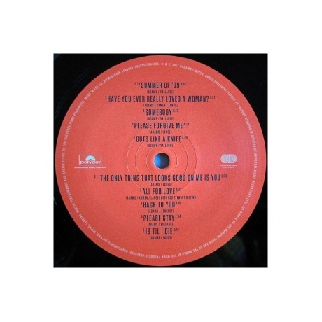 Bryan Adams - Ultimate (0602557944174) виниловая пластинка - фото 8