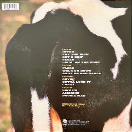 Aerosmith - Get A Grip (0602547954398) виниловая пластинка - фото 2