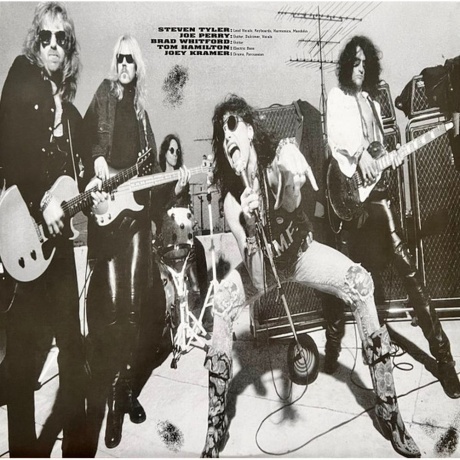 Aerosmith - Get A Grip (0602547954398) виниловая пластинка - фото 7