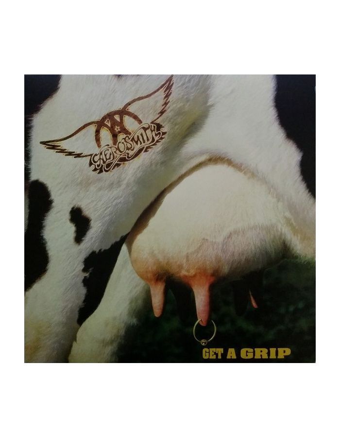 Виниловая пластинка Aerosmith, Get A Grip (0602547954398)
