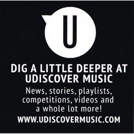 Aerosmith - Pump (0602547954381) виниловая пластинка - фото 10