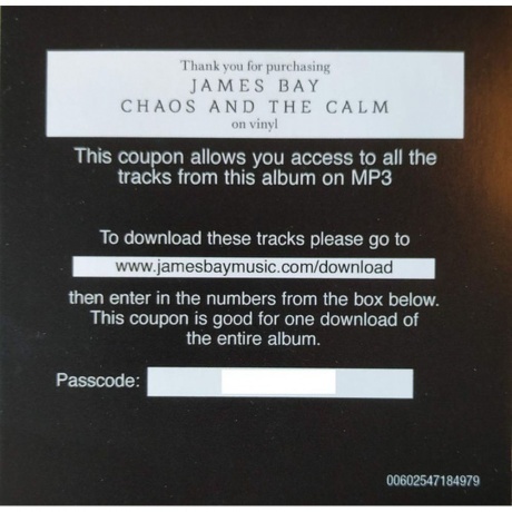James Bay - Chaos And The Calm (0602547184979) виниловая пластинка - фото 10
