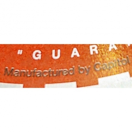 The Beastie Boys - Check Your Head (5099969422515) виниловая пластинка - фото 10