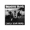 Виниловая пластинка The Beastie Boys, Check Your Head (509996942...