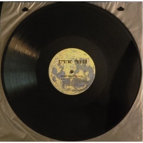 The Beastie Boys - Hello Nasty (5099969423918) виниловая пластинка - фото 5