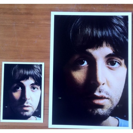 The Beatles - The Beatles (White Album) (0602567696865) виниловая пластинка - фото 13