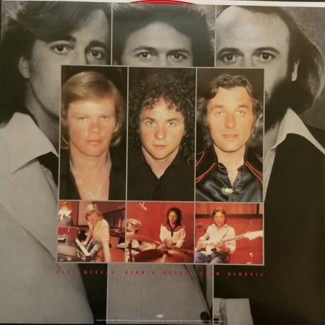 Bee Gees - Spirits Having Flown (0602508005657) виниловая пластинка - фото 19