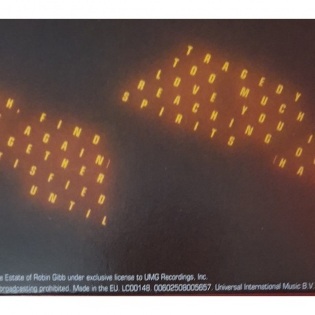 Bee Gees - Spirits Having Flown (0602508005657) виниловая пластинка - фото 5