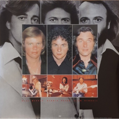 Bee Gees - Spirits Having Flown (0602508005657) виниловая пластинка - фото 8