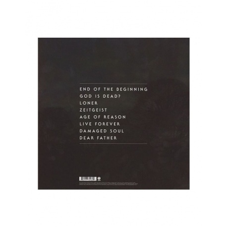 Black Sabbath - 13 (0602537349609) виниловая пластинка - фото 2