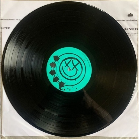 Blink-182 - Blink-182 (0602557005202) виниловая пластинка - фото 5