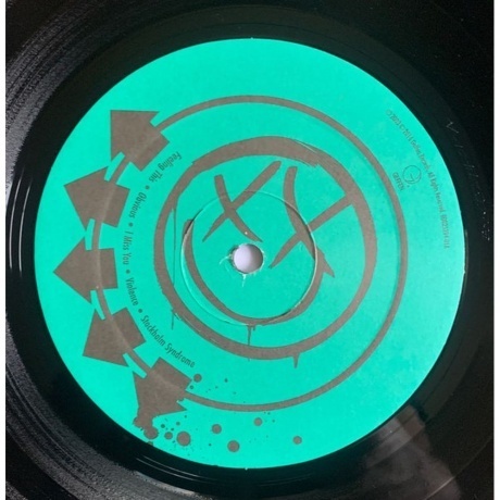 Blink-182 - Blink-182 (0602557005202) виниловая пластинка - фото 8