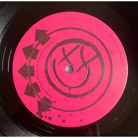 Blink-182 - Blink-182 (0602557005202) виниловая пластинка - фото 10