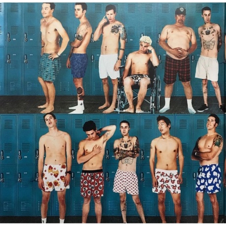 Blink-182, Enema Of The State (0602547998743) виниловая пластинка - фото 6